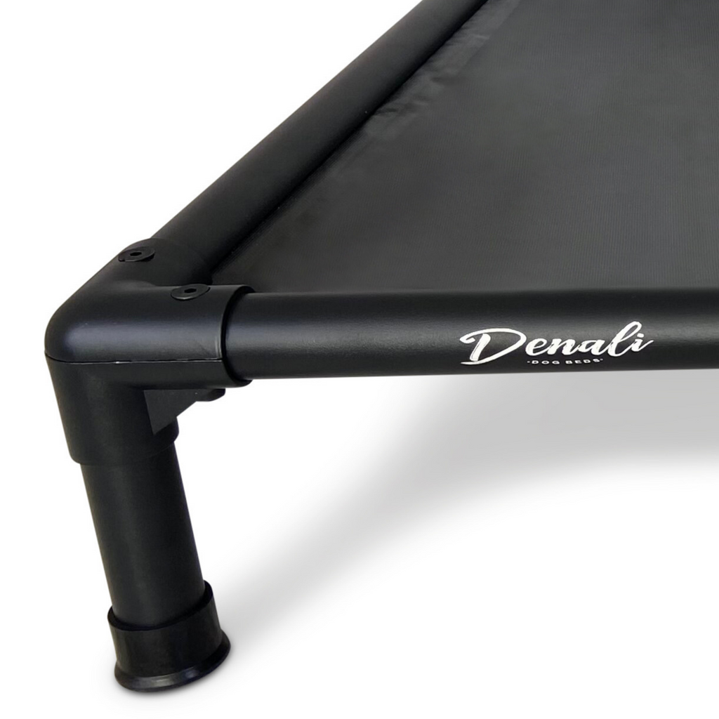 Chew proof 2024 raised dog bed