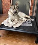 The Alpha V2.0 - Australia's Toughest Chew-proof dog bed