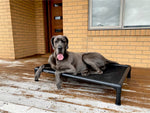 The Alpha V2.0 - Australia's Toughest Chew-proof dog bed